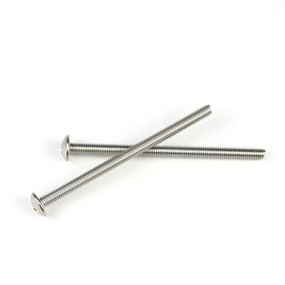 ISO Standard Zinc Finition M4 Bouton Phillips Tête de machine vis 65 mm en acier inoxydable SS304
