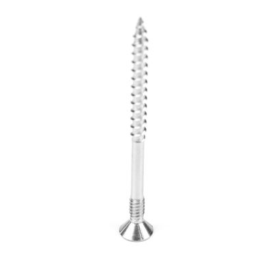 Scoupe à double fil en acier inoxydable de 100 mm contre-enfoncée Torx Head