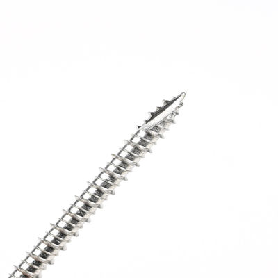 Vis de l'acier inoxydable de 60 mm Autotaraudeuse avec entraînement Torx et Phillips Washer Hex Head