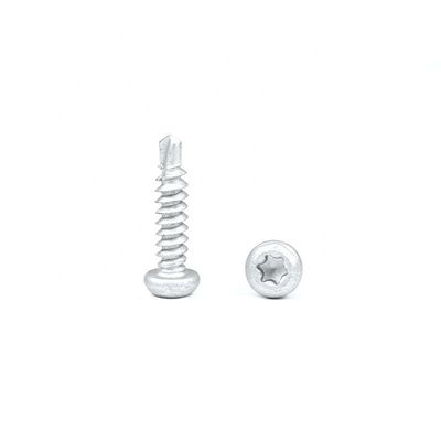 Panhead Torx Drive Self Drilling Tapping Screw pour le métal en acier inoxydable 304