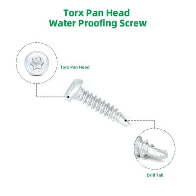 Panhead Torx Drive Self Drilling Tapping Screw pour le métal en acier inoxydable 304