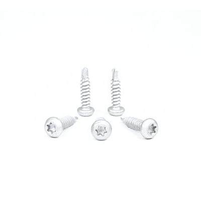 Panhead Torx Drive Self Drilling Tapping Screw pour le métal en acier inoxydable 304