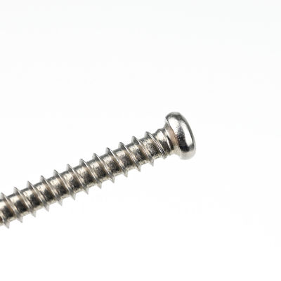 Acier inoxydable à entraînement carré Pan Head Self Drilling Tapping Screws Sus410 L/C Délai de paiement