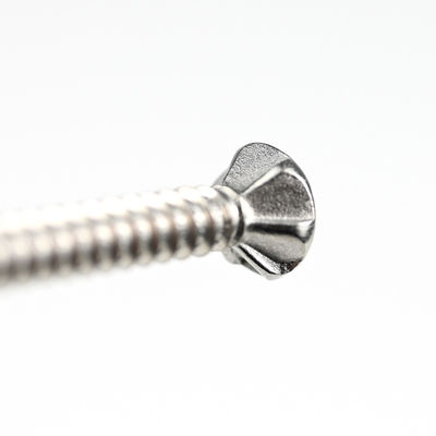 SUS410 Tête plate Phillips Self Tapping Self Forage Screw Wing Tek Screw avec des bâtons 4.2x38