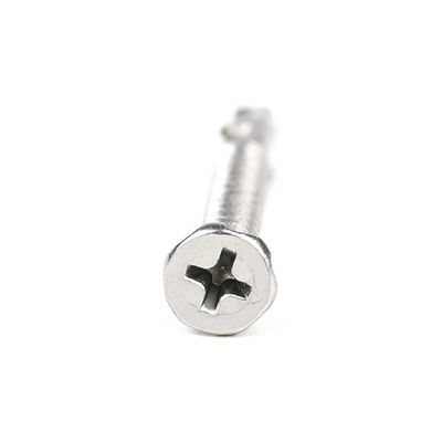 SUS410 Tête plate Phillips Self Tapping Self Forage Screw Wing Tek Screw avec des bâtons 4.2x38