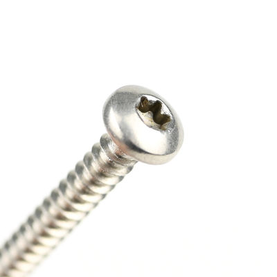 En acier inoxydable Torx Pan Head Ss304 Self Tapping Dovetail Screw pour une finition durable